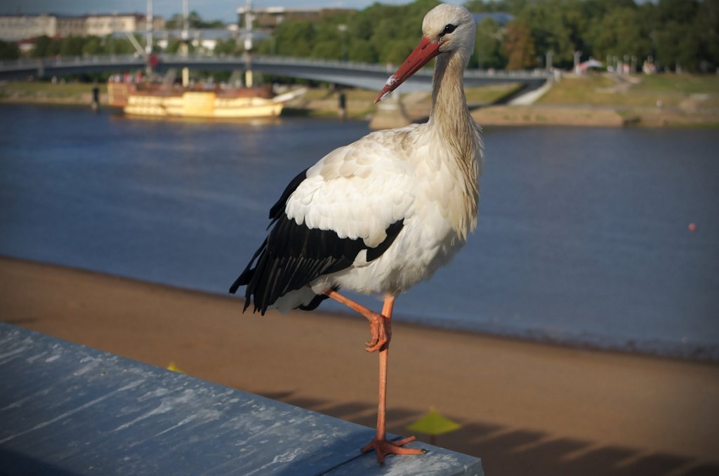011843-H15-5032.jpg