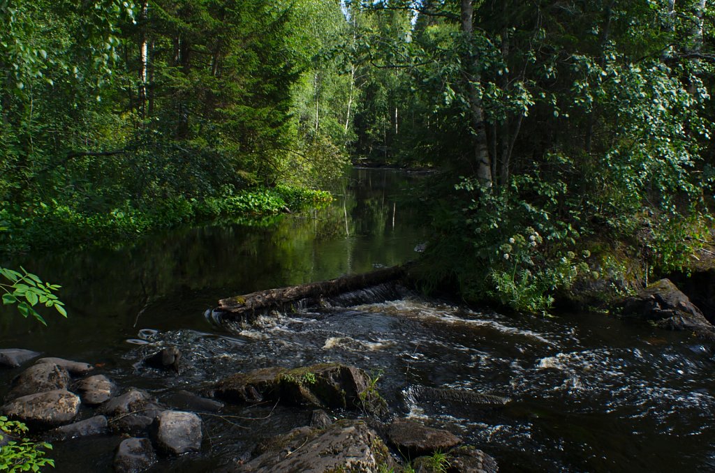 031357-H15-5385.jpg