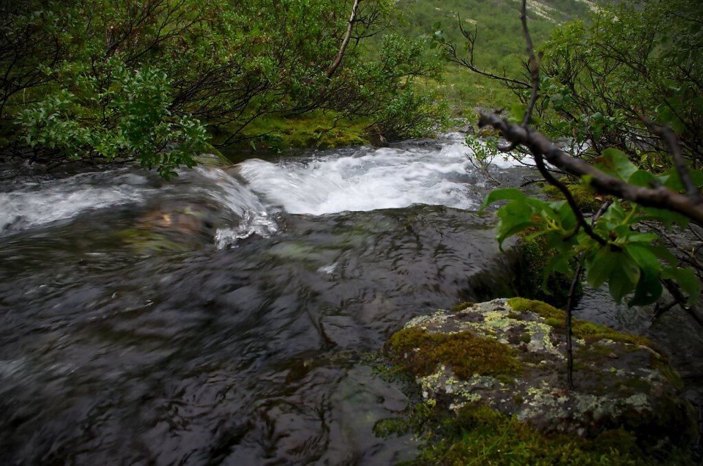 101658-H15-5875.jpg