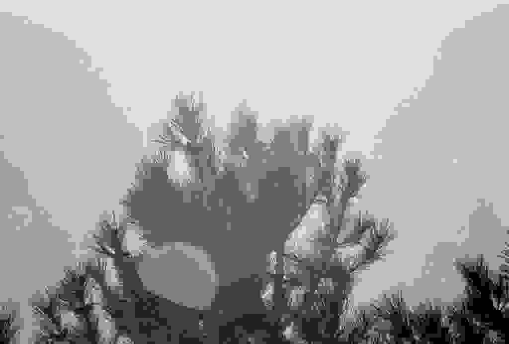 000042.jpg