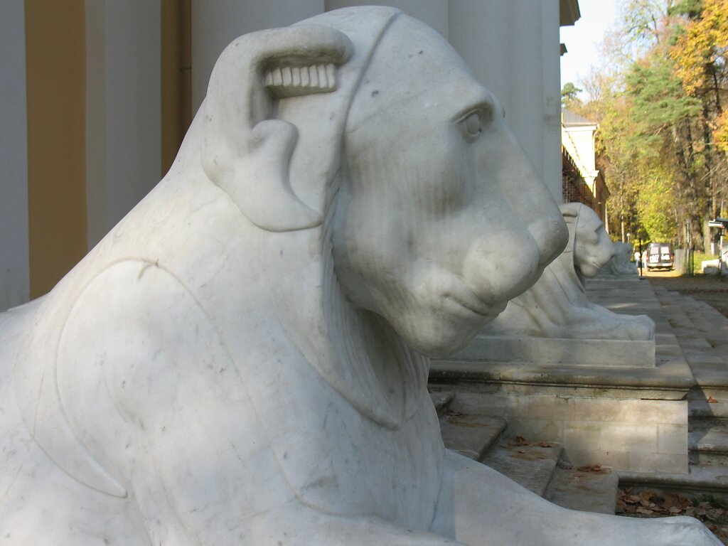 IMG-9719.JPG