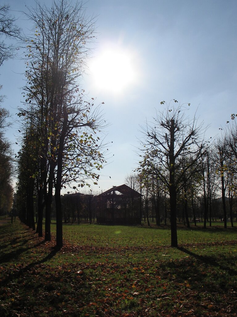 IMG-9728.JPG