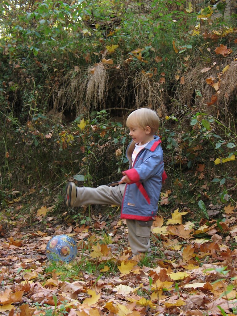 IMG-9767.JPG