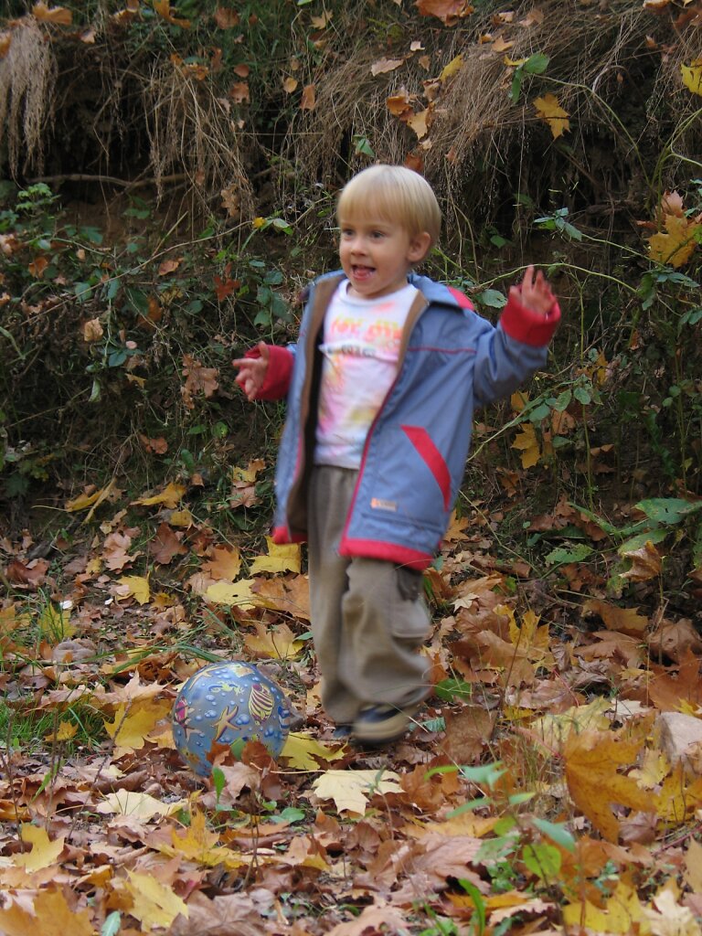 IMG-9769.JPG