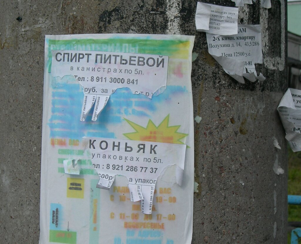 DSCN0662.JPG