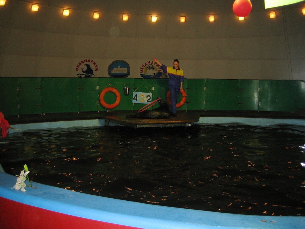 M-0508-14-079.JPG