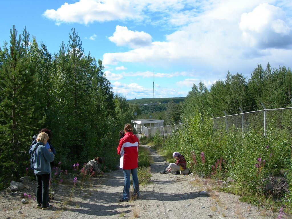 DSCN0720.JPG
