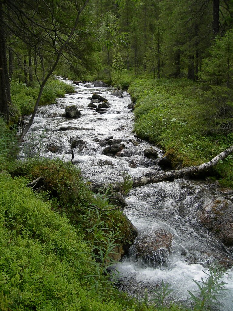 DSCN0740.jpg
