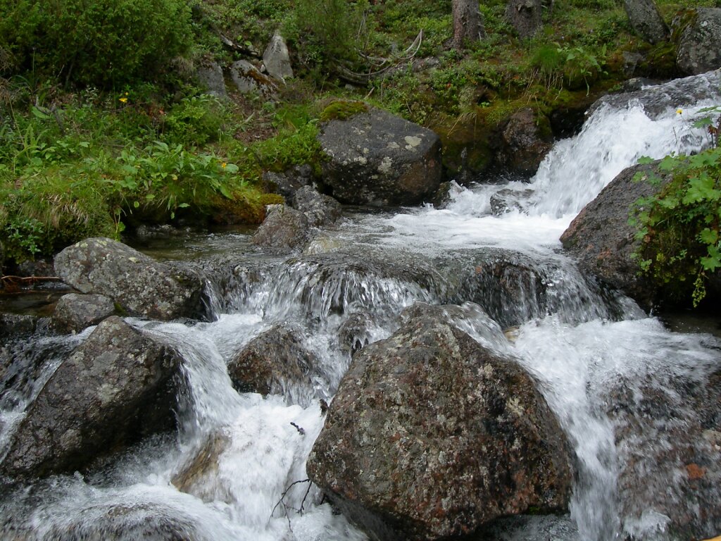 DSCN0741.JPG