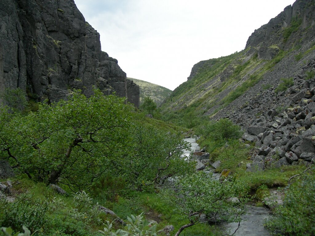 DSCN0747.JPG