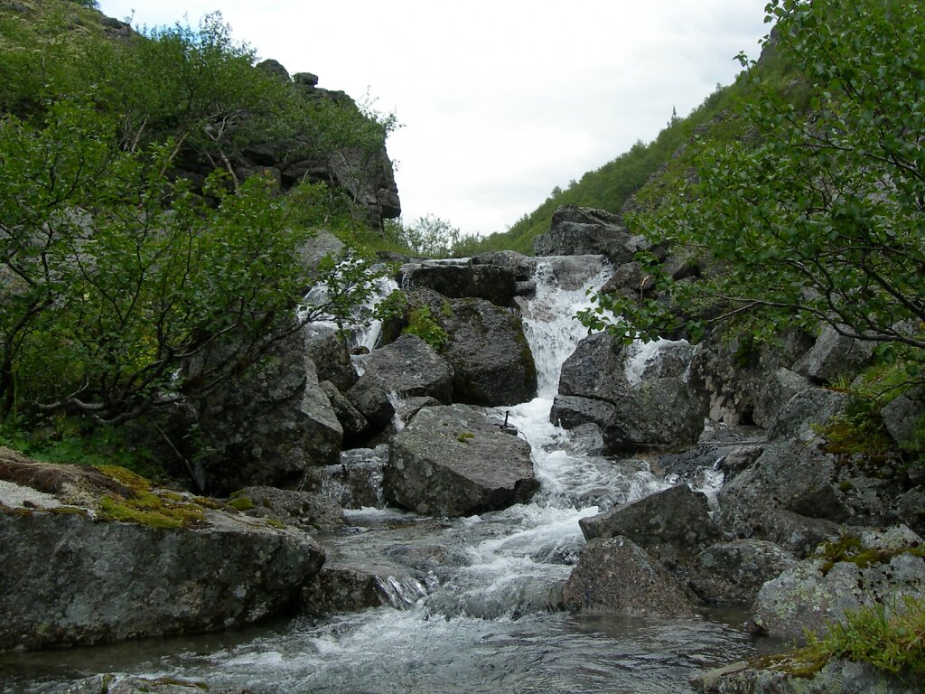 DSCN0748.JPG