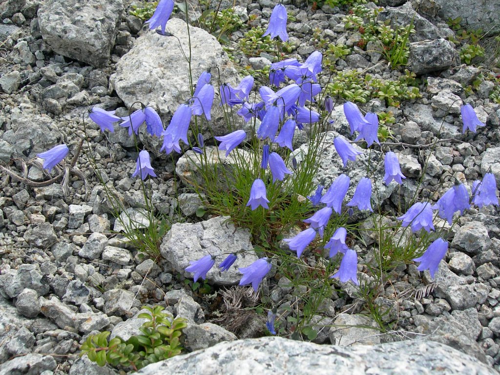 DSCN0789.JPG