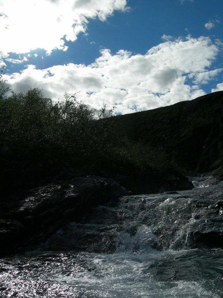 DSCN0792.jpg