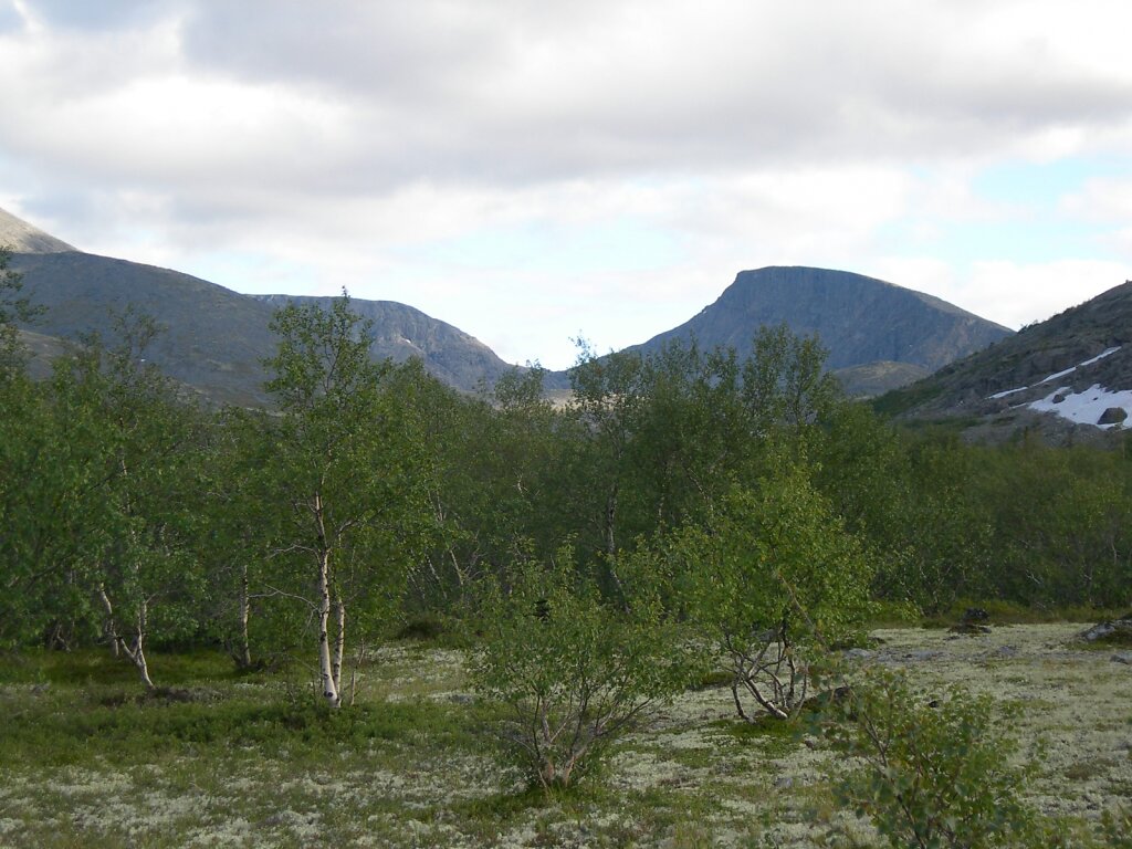 DSCN0793.JPG