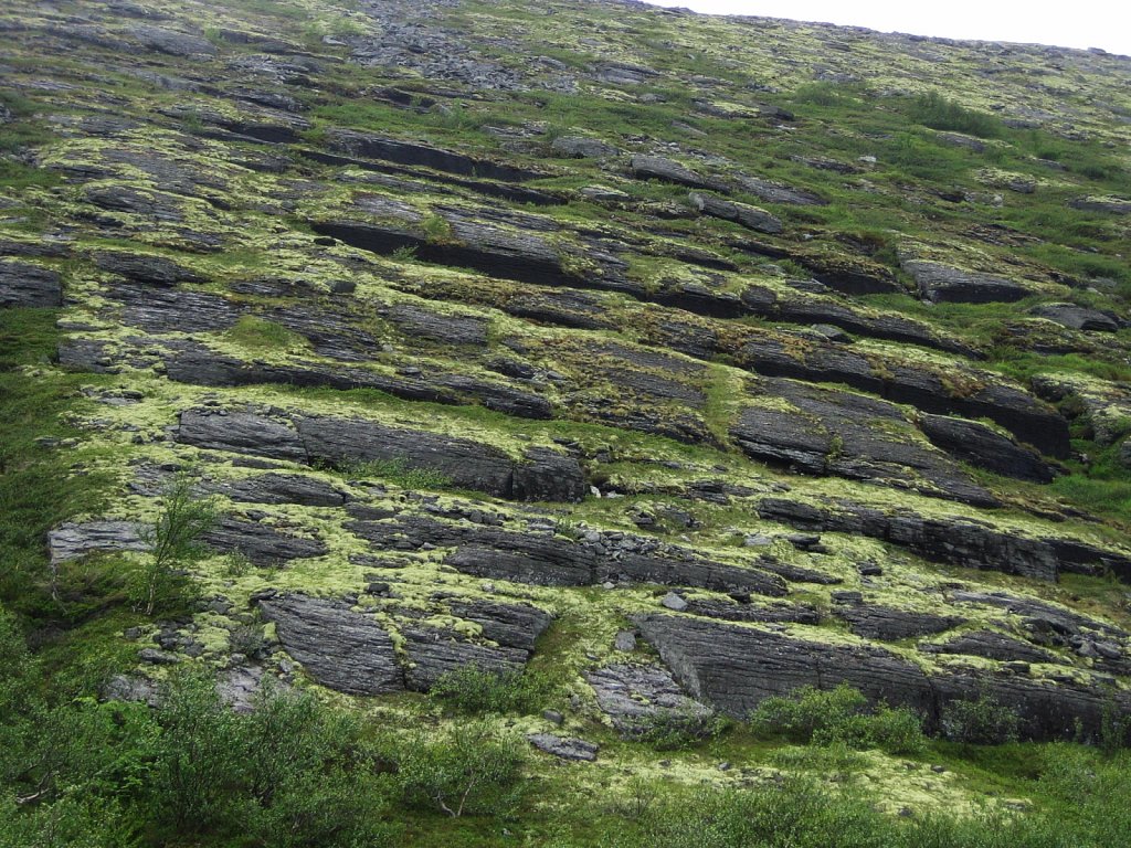 M-0508-14-196.JPG