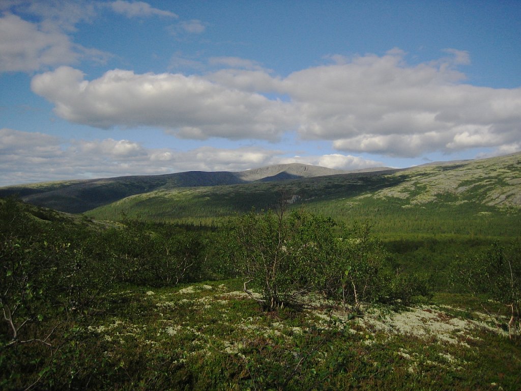 M-0508-14-215.JPG