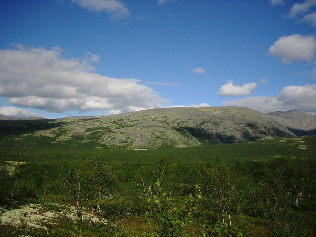 M-0508-14-216.JPG