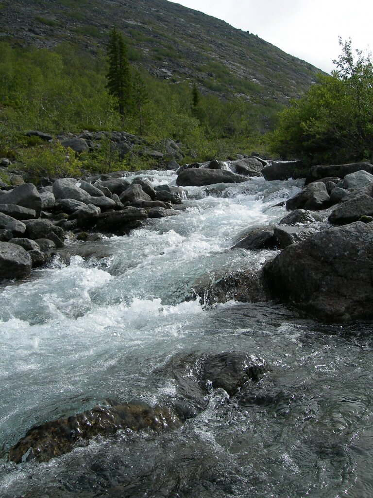 DSCN0836.jpg