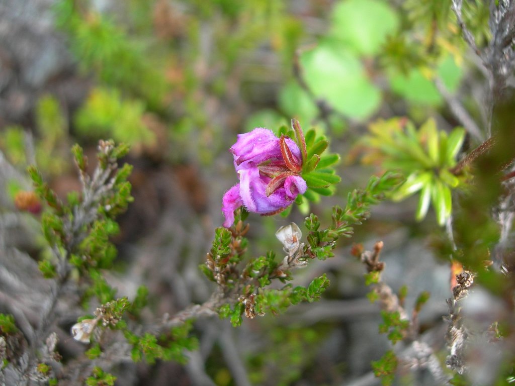 DSCN0839.JPG