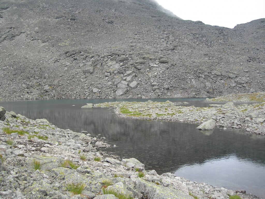 DSCN0868.JPG