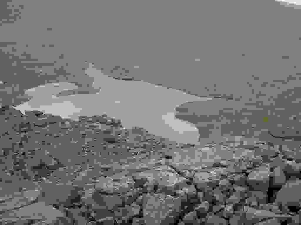 DSCN0887.JPG