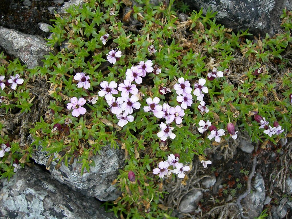 DSCN0896.JPG