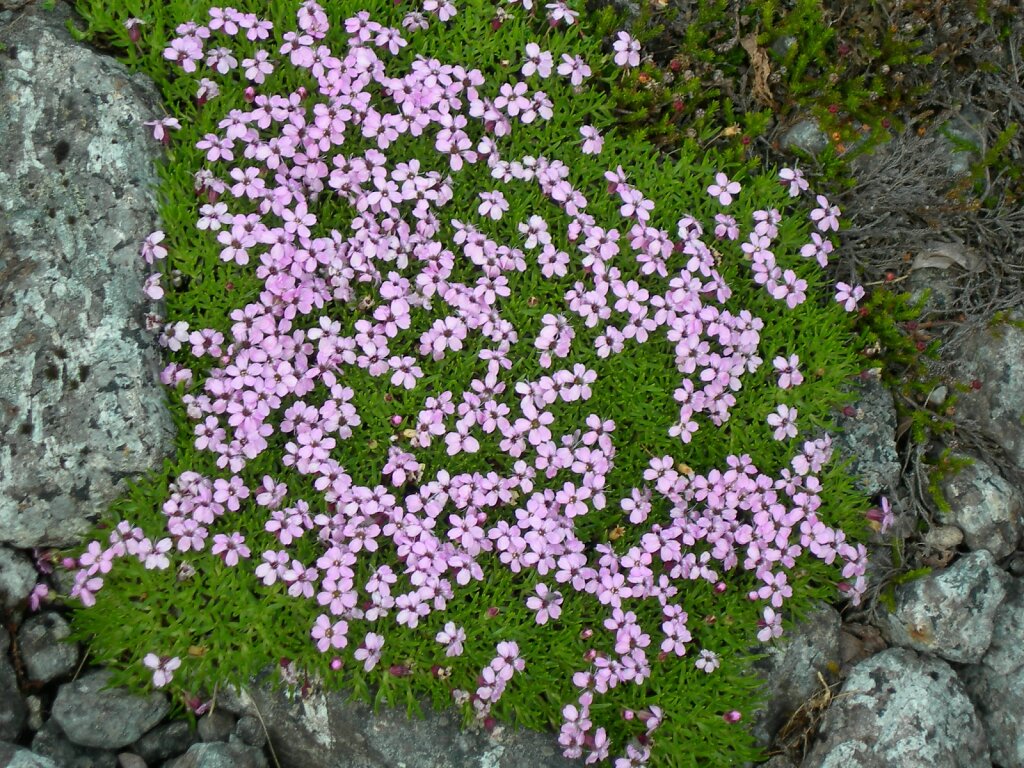 DSCN0902.JPG