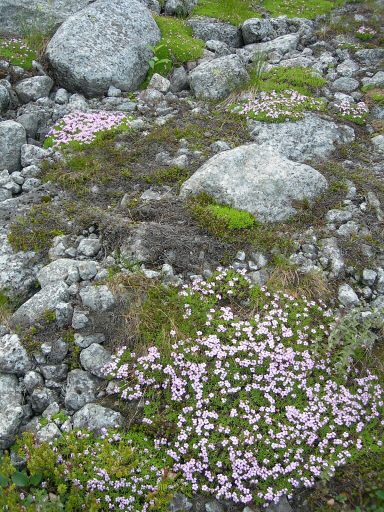 DSCN0904.jpg