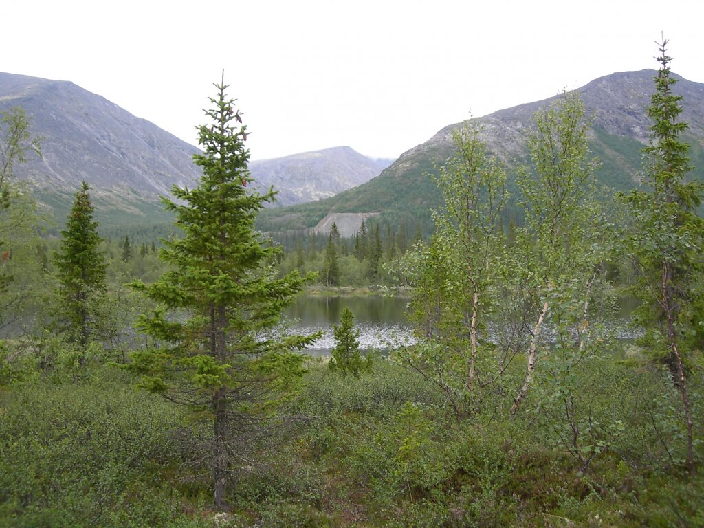 DSCN0918.JPG