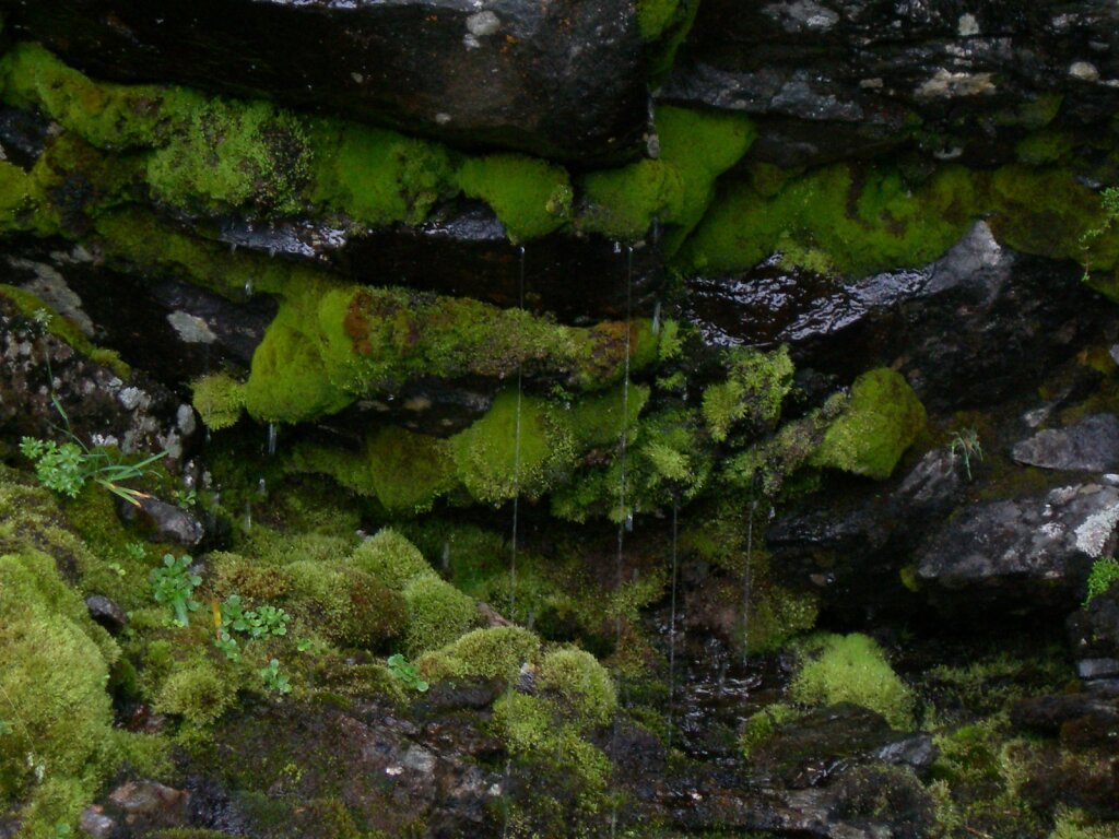 DSCN0936.JPG