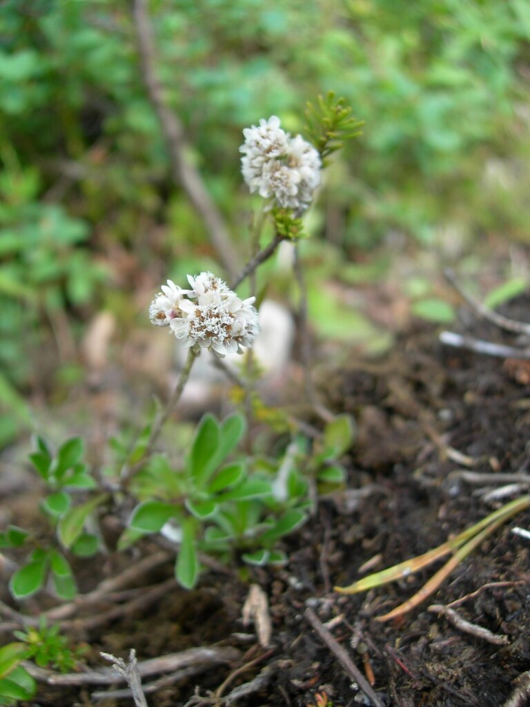DSCN0940.jpg