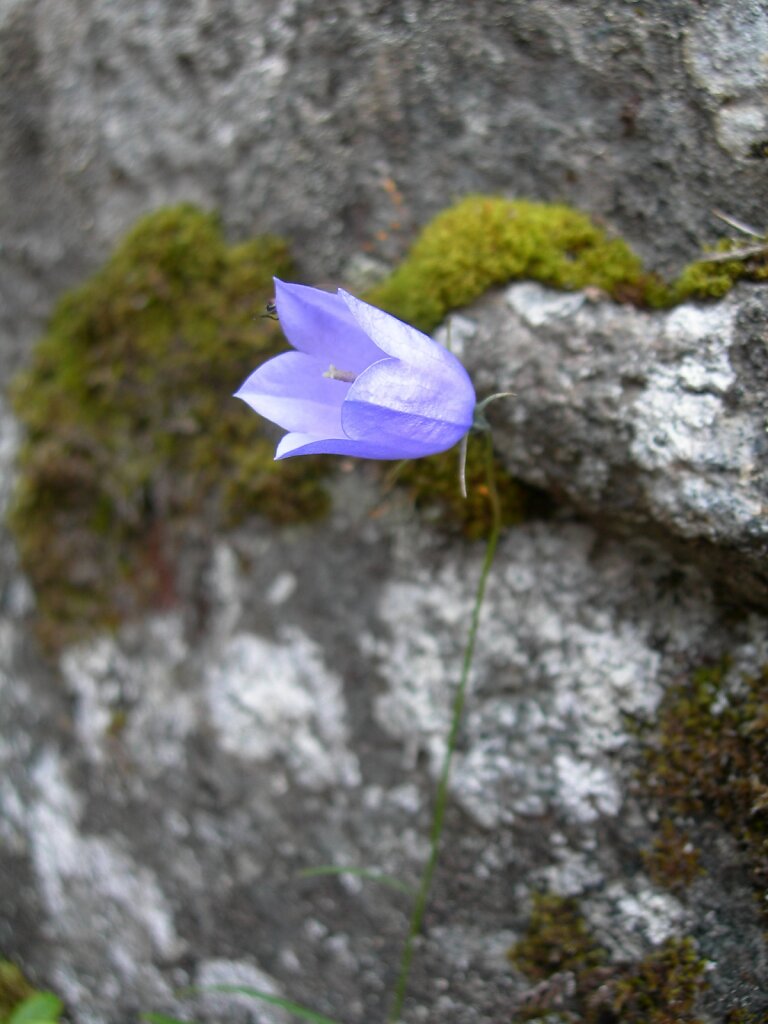 DSCN0941.jpg