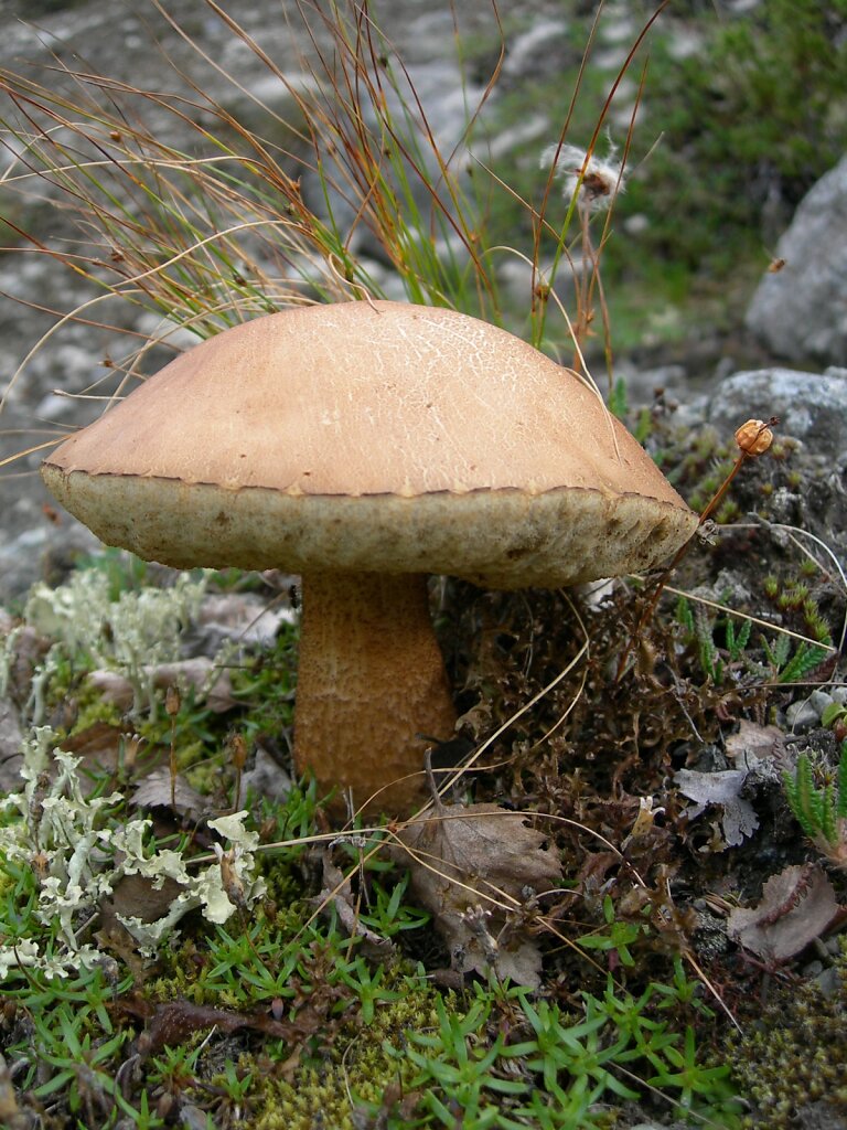 DSCN0952.jpg