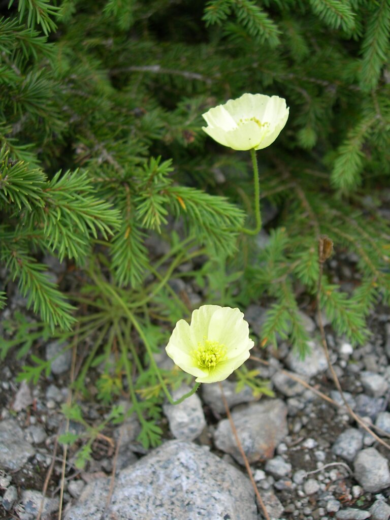 DSCN0953.jpg