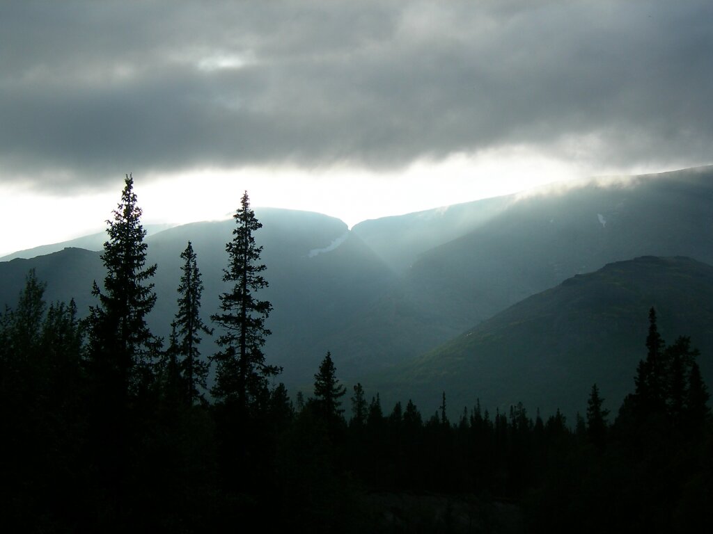 DSCN0956.JPG