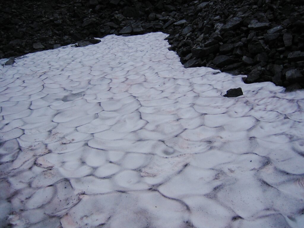 M-0508-14-275.JPG