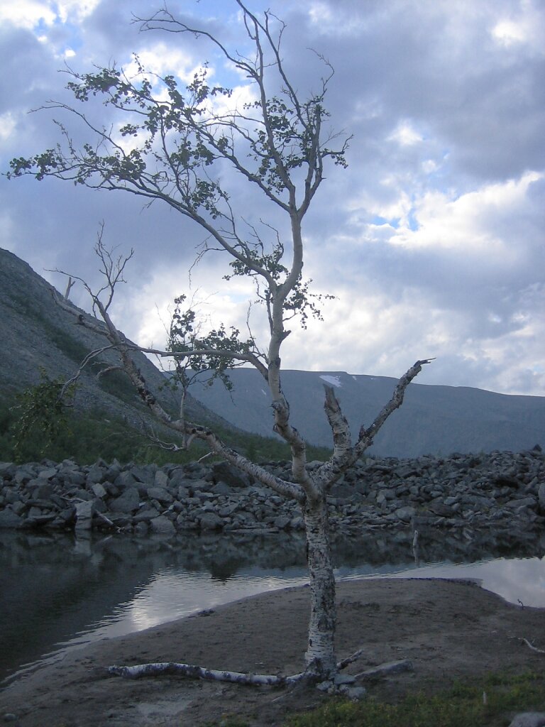 M-0508-14-287.JPG