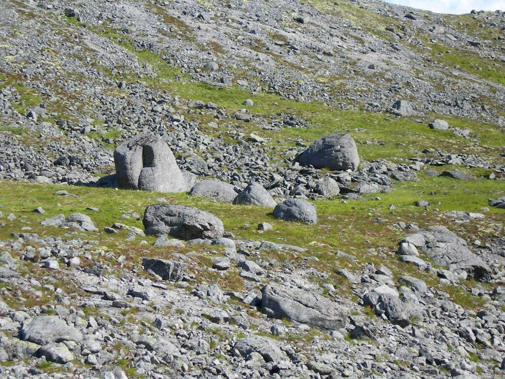 DSCN1018.JPG