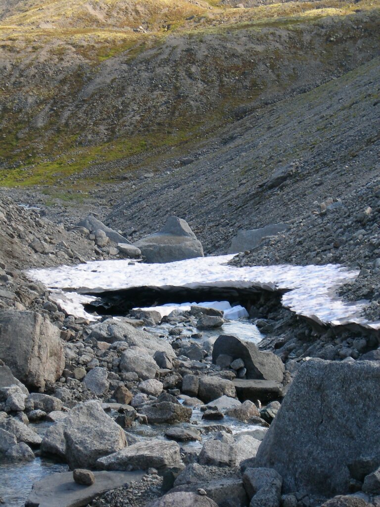 DSCN1020.jpg