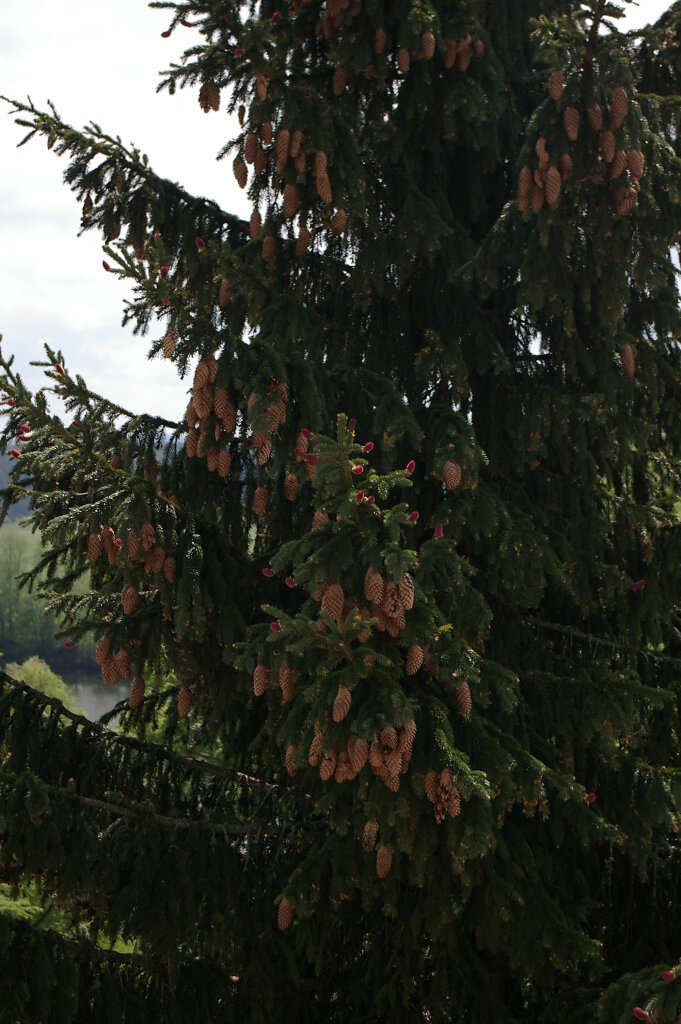 IMGP1611.JPG