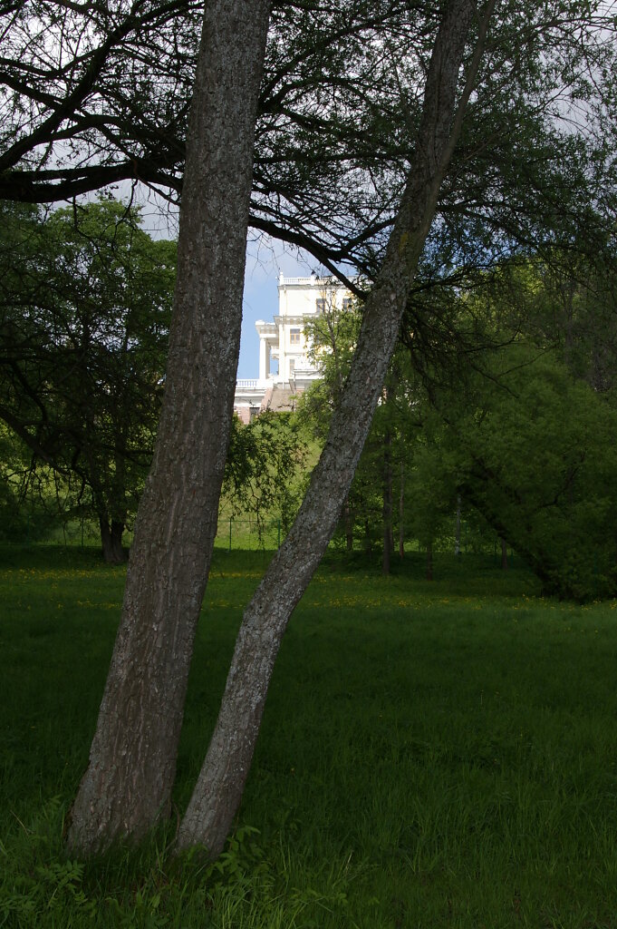 IMGP1663.JPG