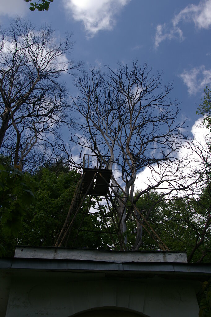 IMGP1680.JPG