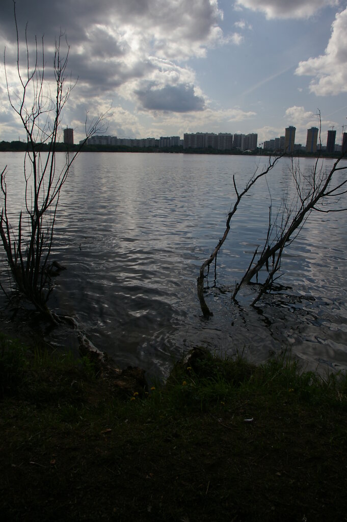 IMGP1697.JPG