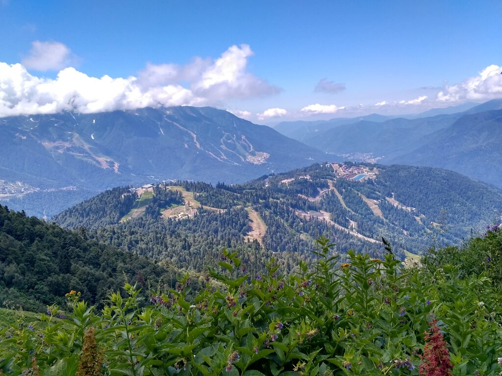 IMG-20170711-112052-HDR.jpg