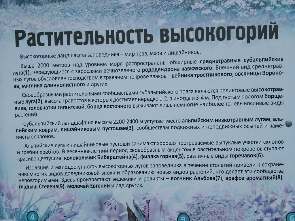 IMG-20170711-144048.jpg