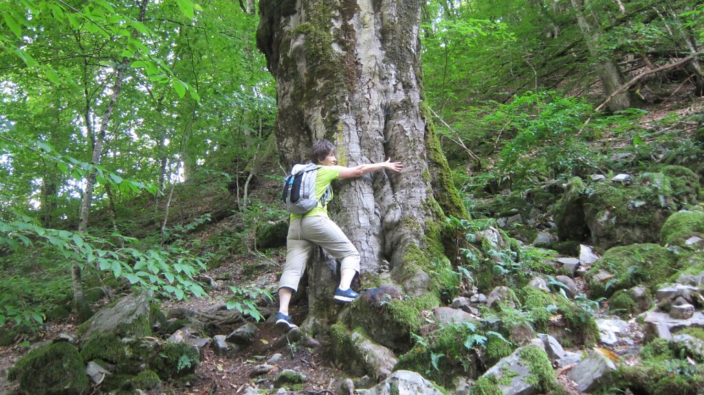 IMG-9769.JPG