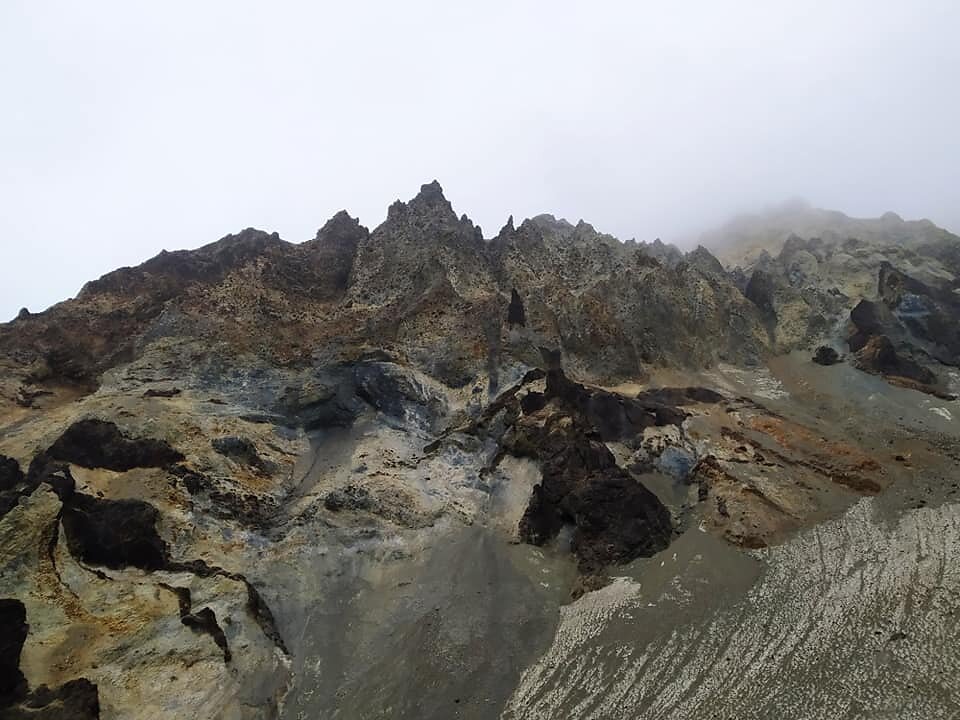 68617801-957243697952920-5778331189085470720-n.jpg