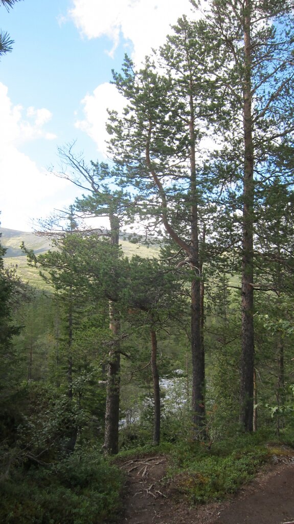 IMG-7991.JPG